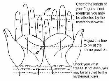 palm structure