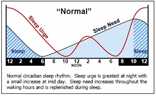 circadian rhythm sleep